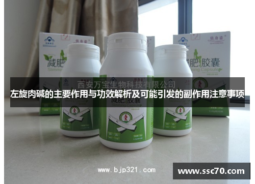 左旋肉碱的主要作用与功效解析及可能引发的副作用注意事项